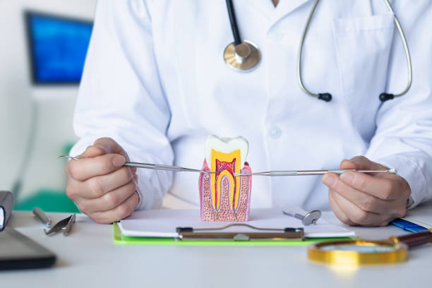 Best Emergency Treatment for Dental Infections or Abscesses in Casselberry, FL